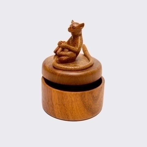 Studio shoot of the box