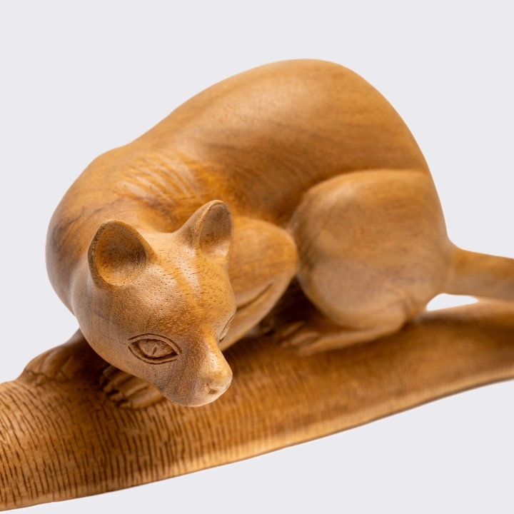 Close-up view of the Fosa'sculpture