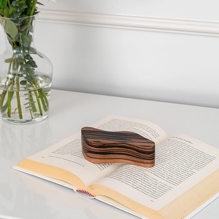 Image showcasing the paperweight in use.