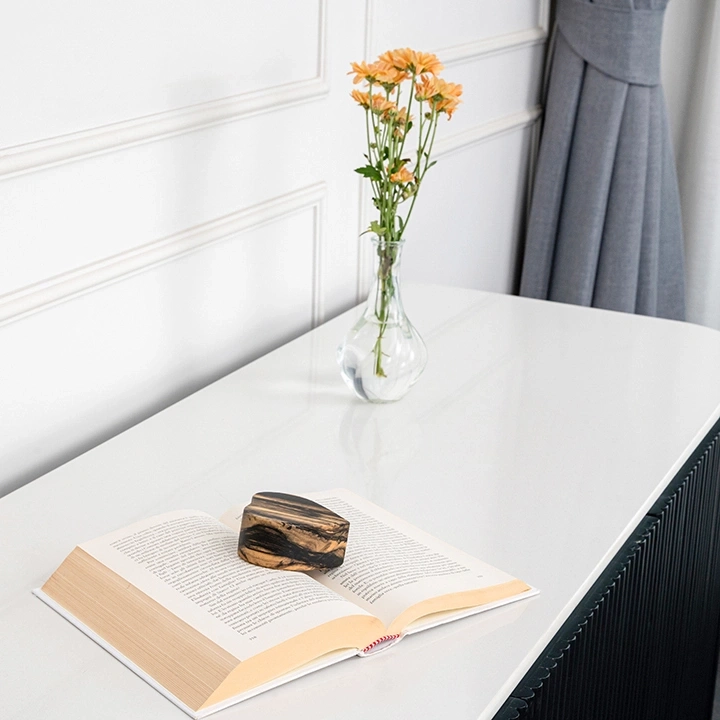 Image showcasing the paperweight in use.