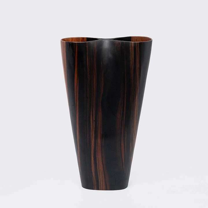 Studio shot of the vase