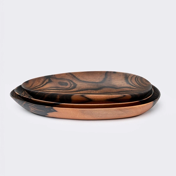 Rotating view highlighting the plate's features.