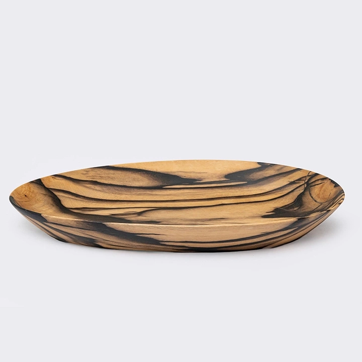 Rotating view highlighting the plate's features.