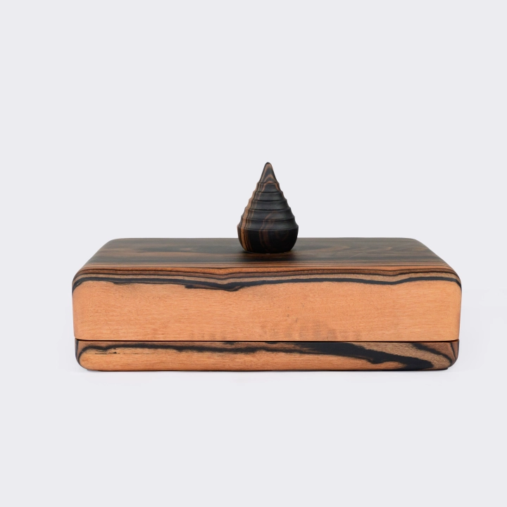 Studio picture of the  Rectangular Box with Pagoda