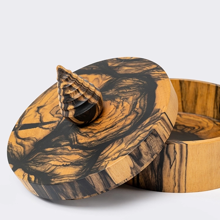 Rotating view highlighting the box's features.