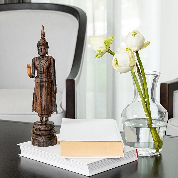 Picture in situ of the standing buddha