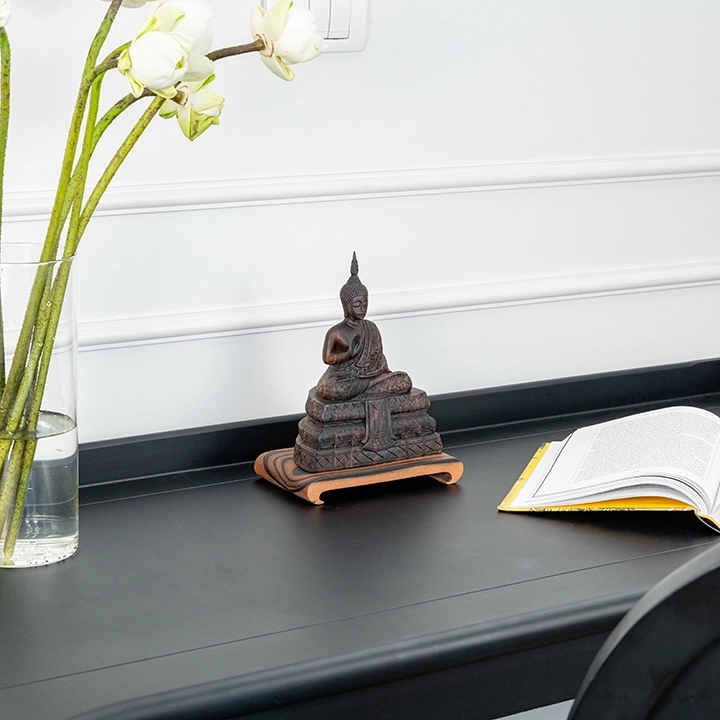 Picture in situ of the Sitting Buddha