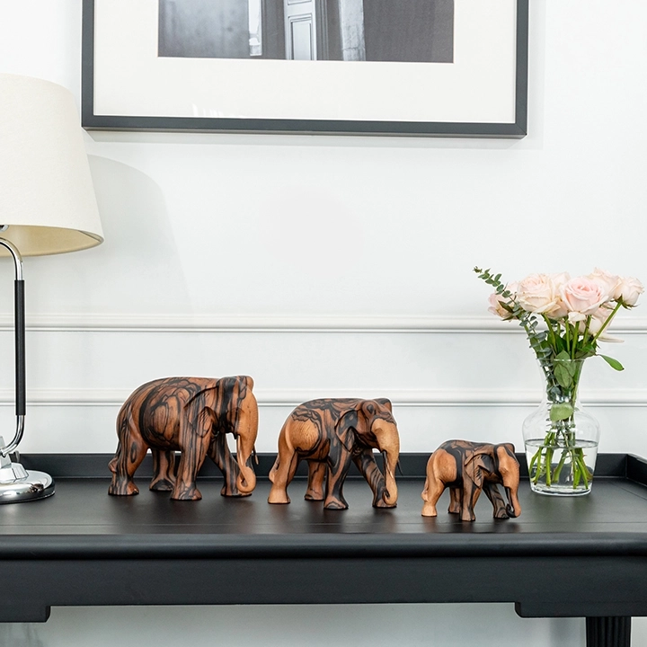 Studio shot of the Elephant