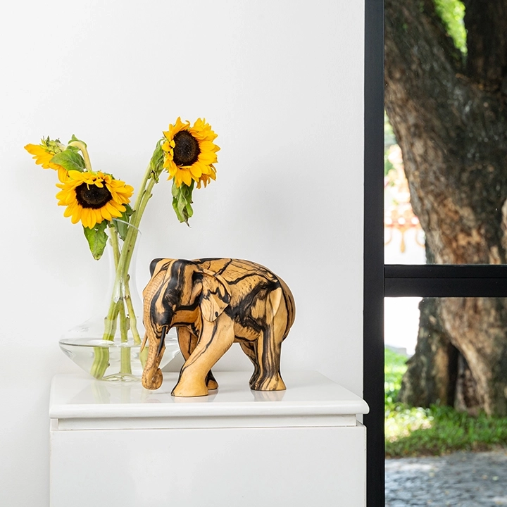 Image showcasing the Elephant.