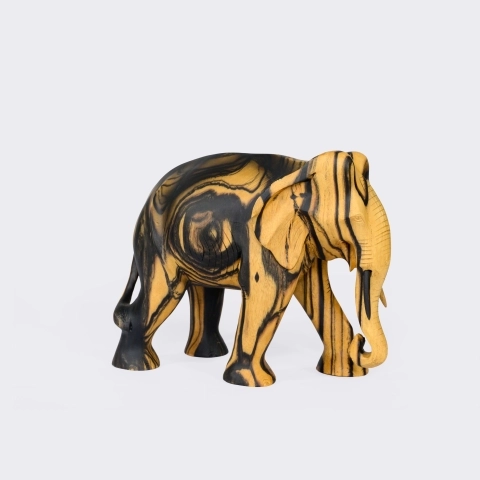 Studio shot of the Elephant sculpture