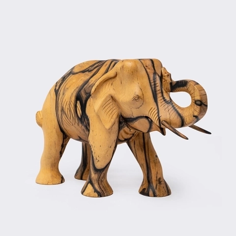 Studio shot of Tusker