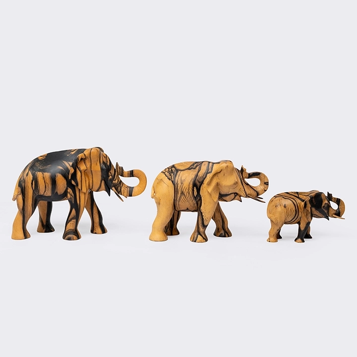 Studio shot of Tusker.