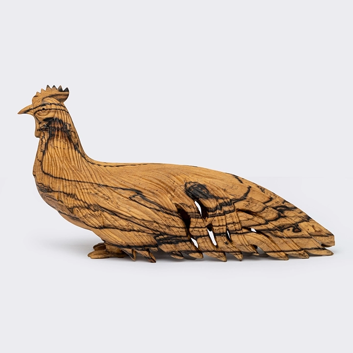 Studio shot of the peacock sculpture