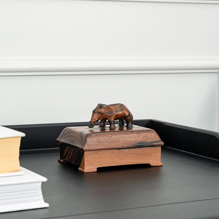 Studio shot of the Box