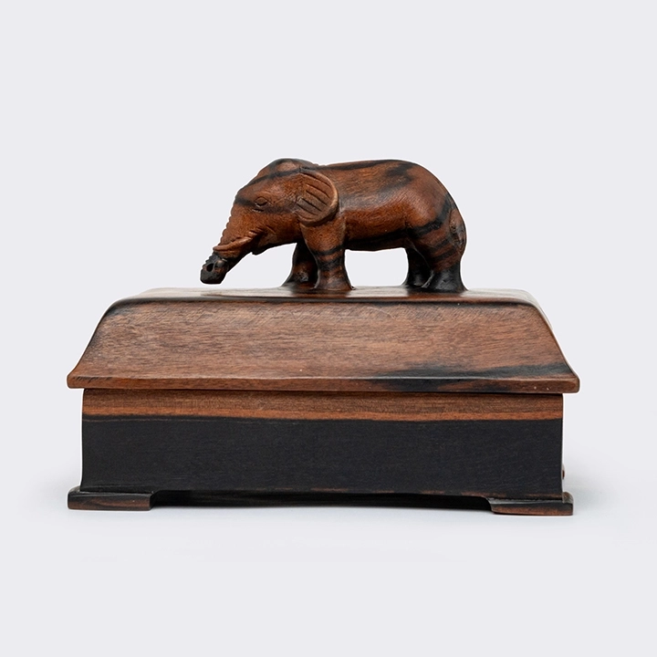 Studio shot of the Box