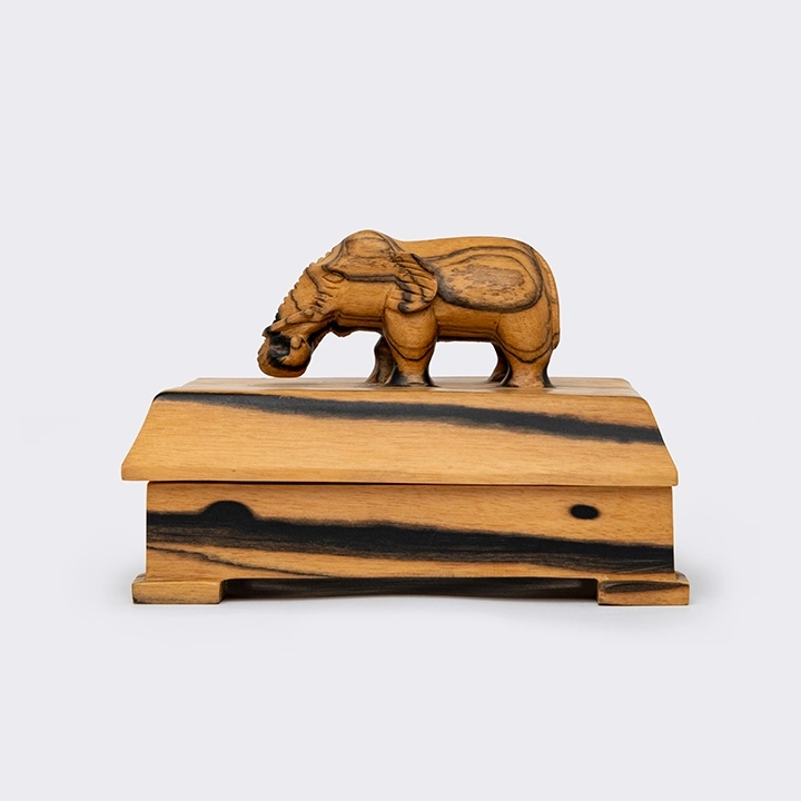 Studio shot of the Box