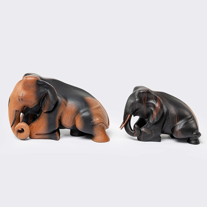 Studio picture of the  Reclining Elephant 