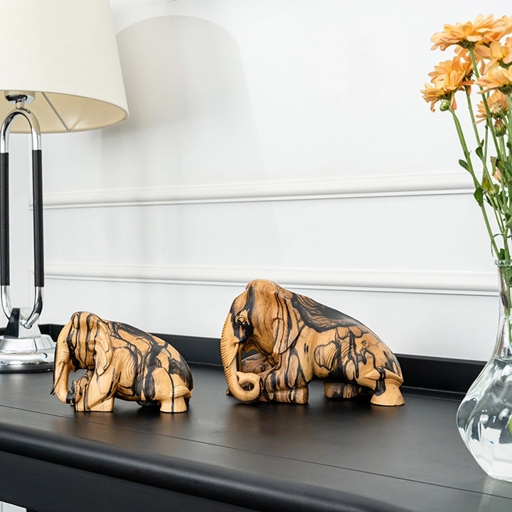 Picture in situ of the Reclining Elephant