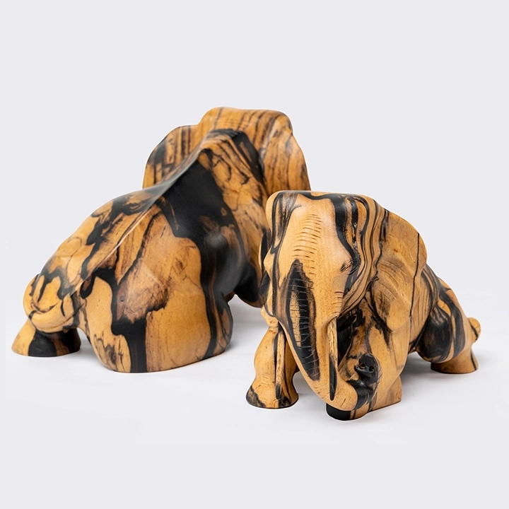 Detail picture of the Reclining Elephant