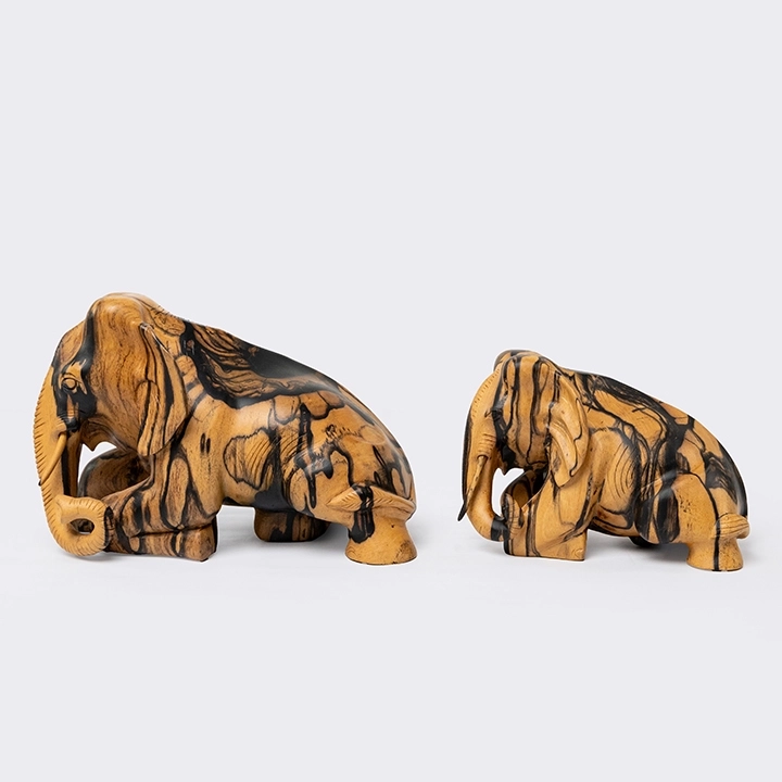 Studio picture of the  Reclining Elephant 