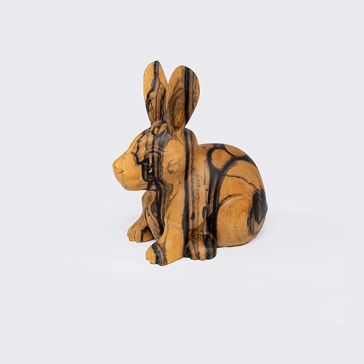 Studio picture of the  Rabbit