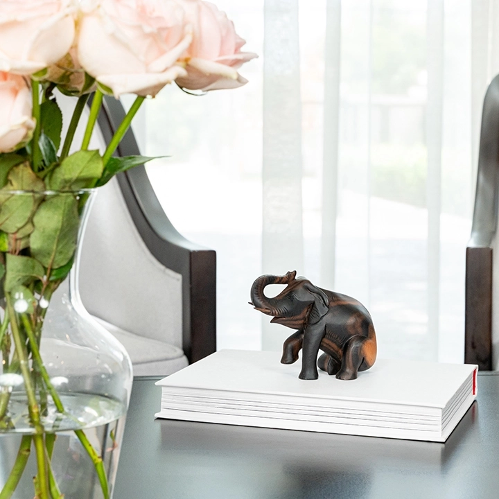 Image showcasing the elephant sculpture in use.