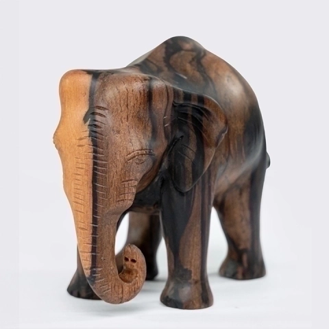 Detail picture of the walking baby elephant