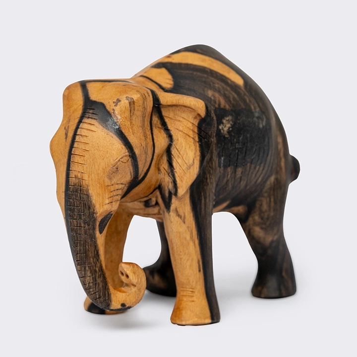 Detail picture of the walking baby elephant