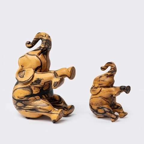 Studio shot featuring a set of Elephant