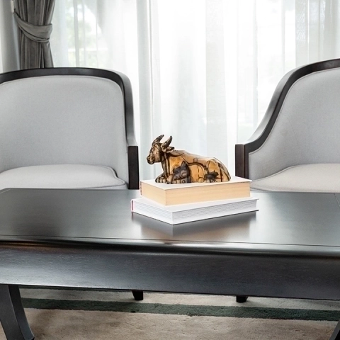 Picture in situ of the Reclining Buffalo