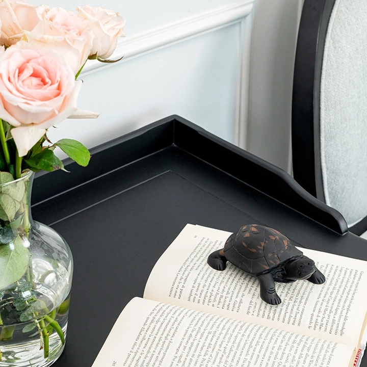 Picture in situ of the Tortoise Head Up