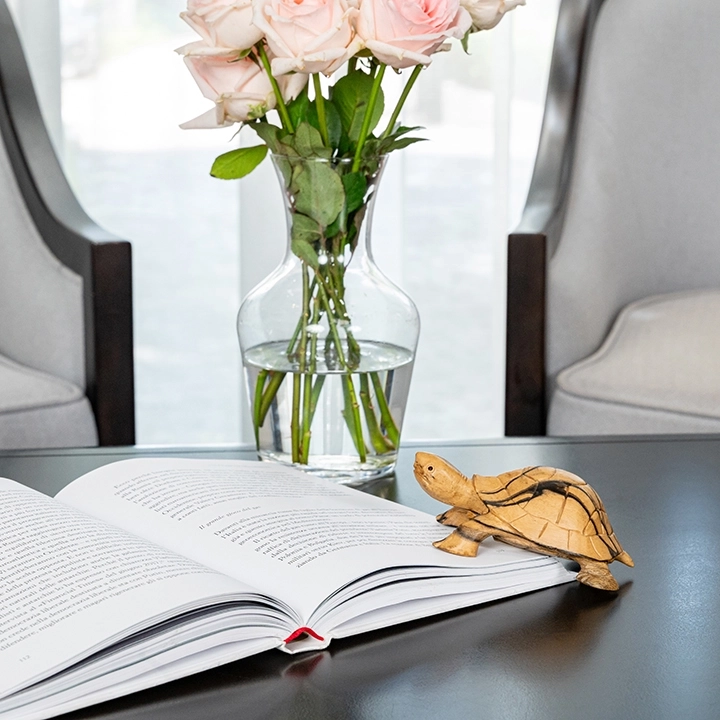 Picture in situ of the Tortoise Head Up