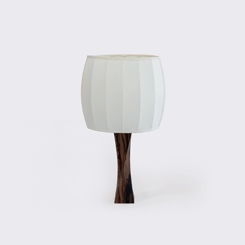 Studio picture of the table lampe