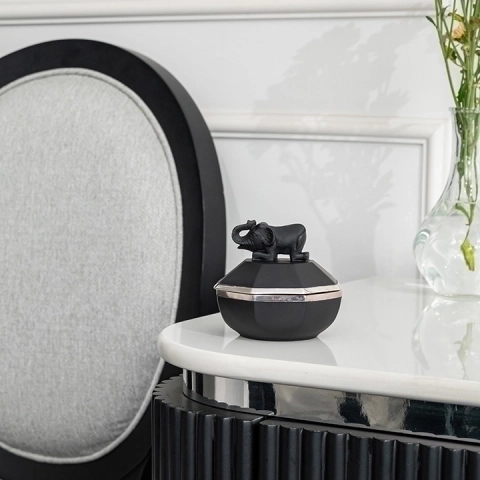 Image showcasing the box in use.