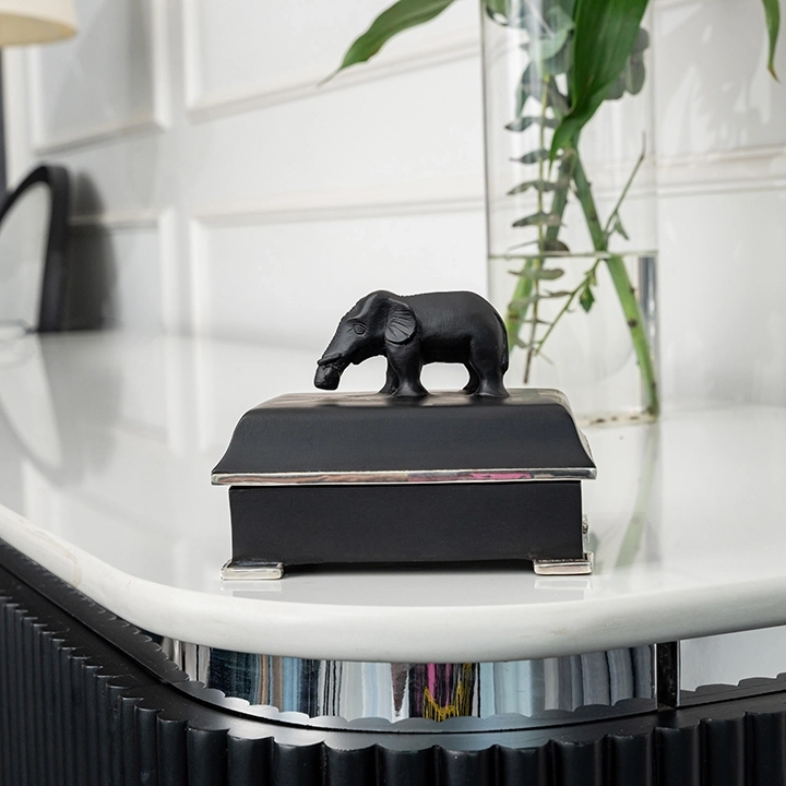 Studio shot of the box